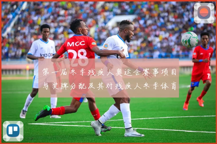 第一届冬季残疾人奥运会赛事项目与奖牌分配及其对残疾人冬季体育的推动