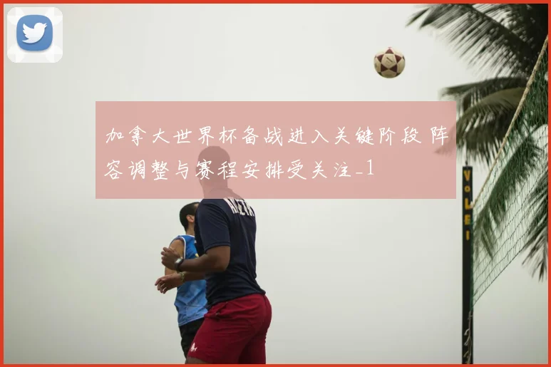 加拿大世界杯备战进入关键阶段 阵容调整与赛程安排受关注_1